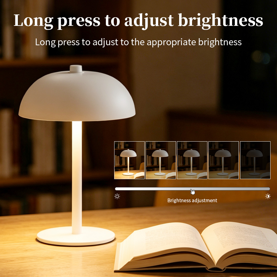 Cordless Mushroom Desk Lamp 3  - Mushroom Table Lamp recension och pris
