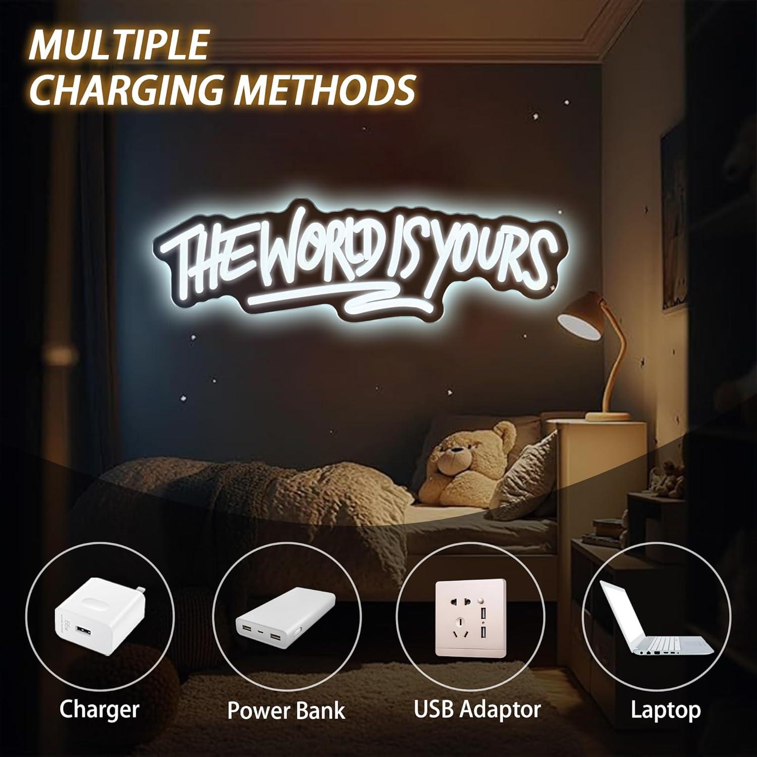 The World is Yours Neon Sign U - Lighting Decor For Wedding recension och pris